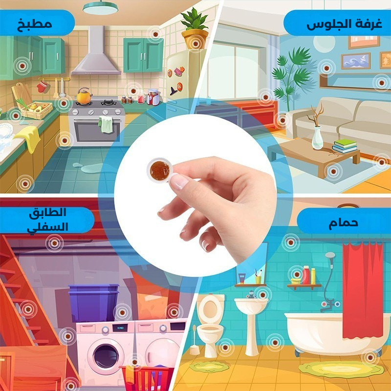 كيك كاتش جال – النهاية الحتمية للصراصير